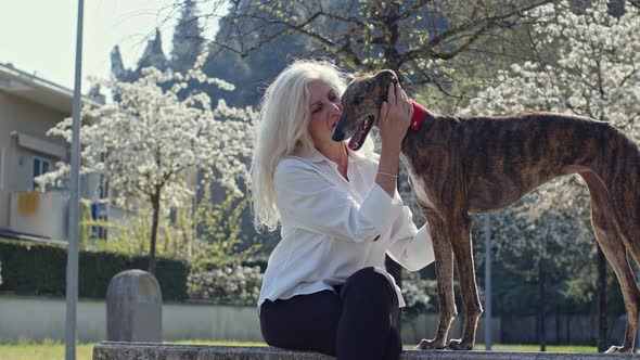 White-haired mature woman stroking her greyhound in park
