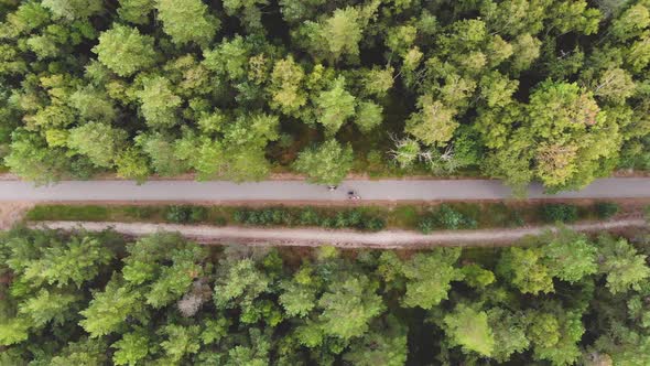 AERIAL: Two Pairs of Cyclists Passing Each Other on the Narrow Road in the Middle of the Forest