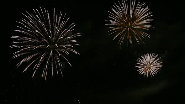 Colorful Firework display at night on sky background