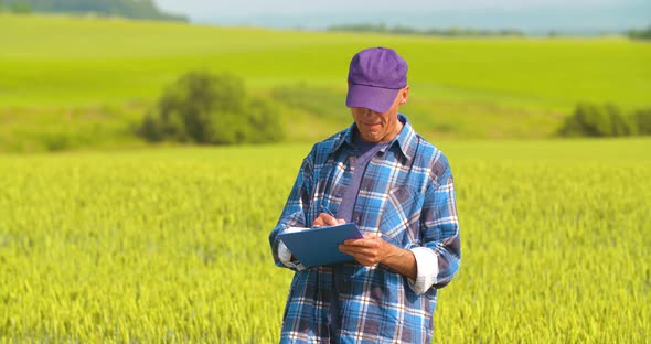 Male Farmer Analyzing Wheat While Making Report