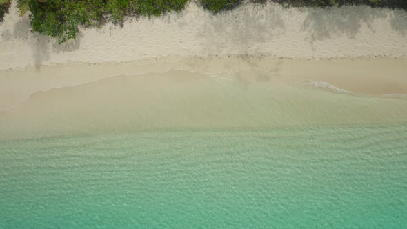 Beautiful Waves Splashing Gently Onto The Shore Of Fiji With White Sand And Trees On A Hot Sunny Day