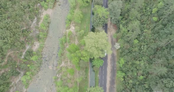 French Road Cinematic  Aerial View Over a Asphalt Road Between Pine Tree