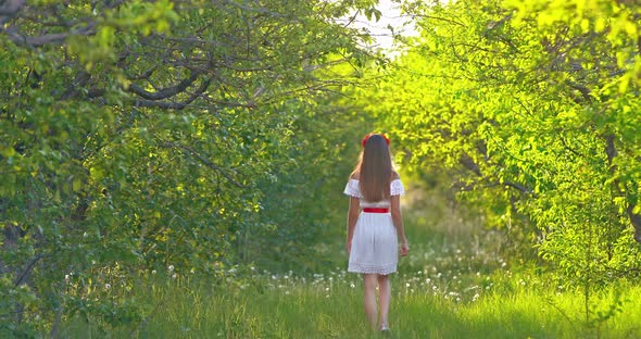 Young Beautiful Woman Walks Through a Forest Glade with Dandelions