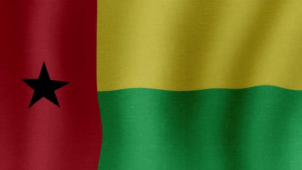 The National Flag of GuineaBissau