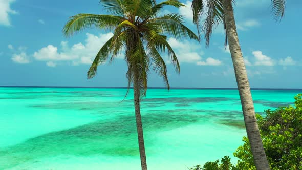 Aerial above scenery of perfect coast beach journey by turquoise sea and white sand background of a 