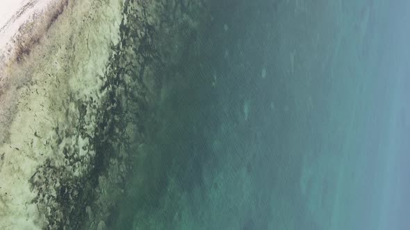 Vertical Video of the Ocean Near the Coast of Zanzibar Tanzania Aerial View