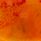 Yellow And Red Oil Texture With Bubbles Floats On Water - VideoHive Item for Sale