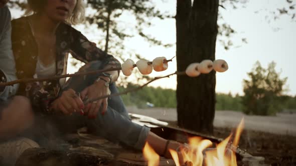 Friends Roasting Sweet Marshmallow on a Fire in the Evening in the Autumn Forest