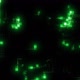 Pixel Network Loop Green - VideoHive Item for Sale