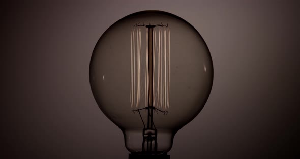 Light Bulb 