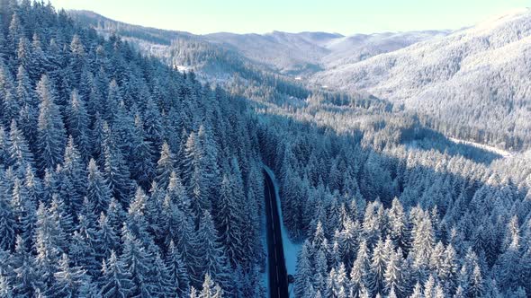 Winter Forest With Road In The Middle