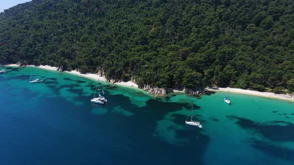 Sailboats, yachts and catamarans anchored on the shores with beach of the islands with vegetation in