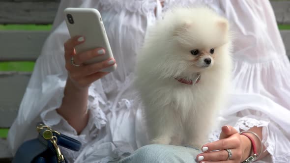 Woman with Smartphone and White Hairy Dog