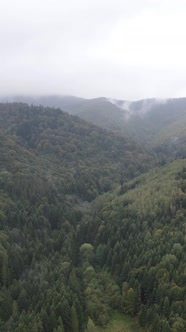 Carpathian Mountains