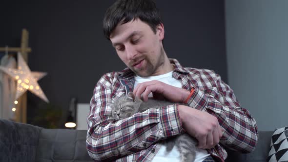 Scottish Straighteared Gray Kitten Sleeps in Arms of Owner of House