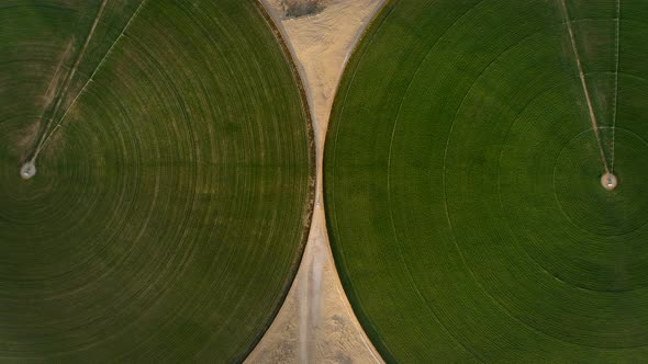 Aerial view of a car driving in between green circles in the Desert in Dubai.