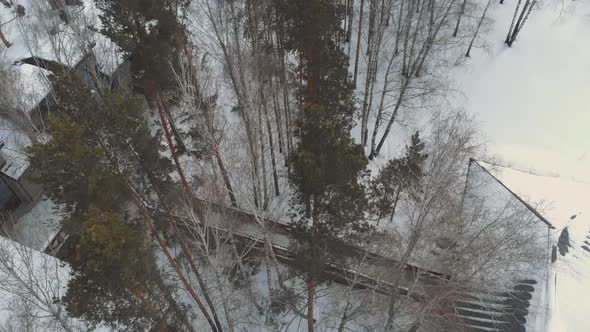 The Drone Flies Over the Treetops Under Which There is a Bridge to the Estate in the Forest the