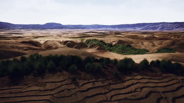 Beautiful Yellow Orange Sand Dune in Desert in Middle Asia alt