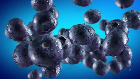 Flying of Blueberries in Blue Background
