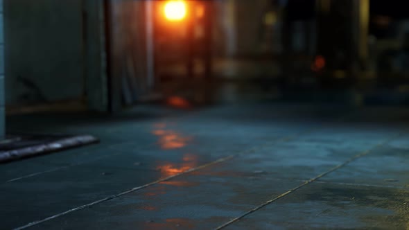 Neon Lights at Rainy Night alt