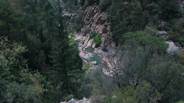 Stream and Stones in the Middle of a Green Forest