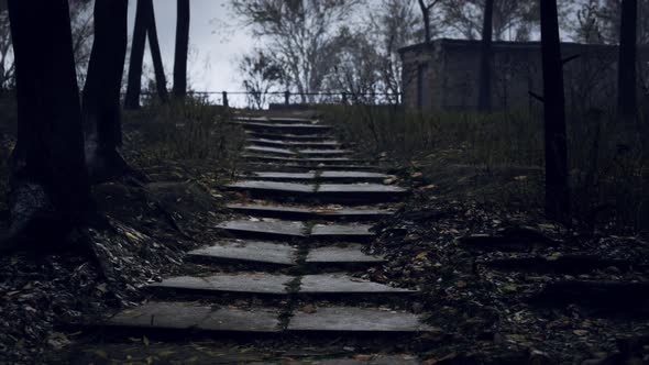 Old Abandoned Garages in the Forest alt