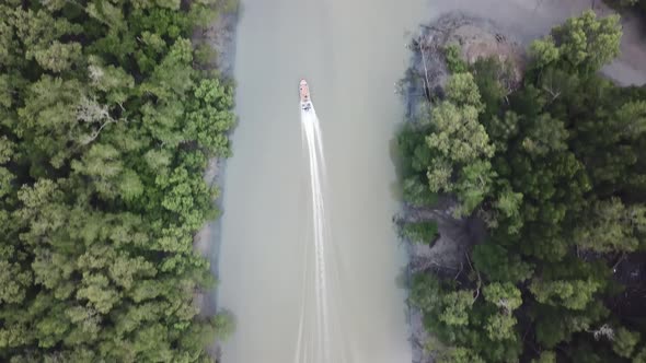 Aerial view tracking fishing boat in the mangrove forest.