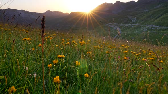 Alps During Sunset. Bright Orange Beams of Sun Appearing From Behind a Mountain and Shining on