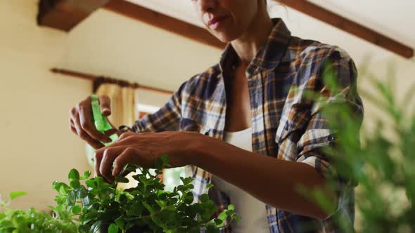 Mixed race woman spraying water on plants at home