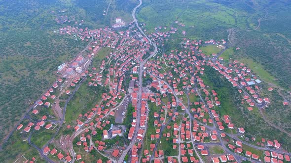 Small City Houses Near the Forest