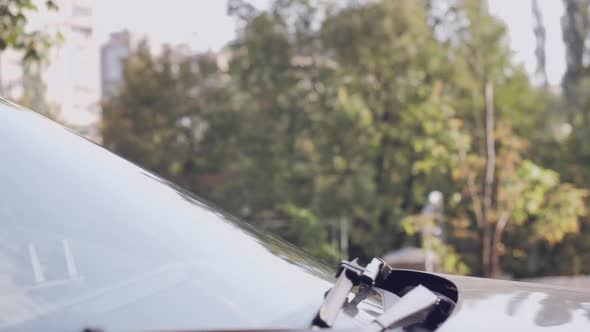 Girl Driver in Car 