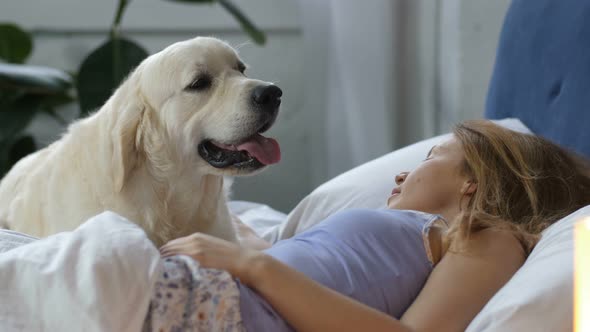 True Friend Dog Waiting for Awakening of Pet Owner