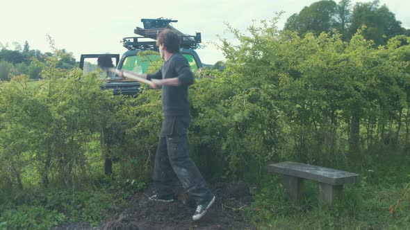 Young man shoveling soil over hedge into pickup truck bed