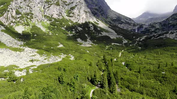 AERIAL: Revealing Mountain Road in the Green Forest