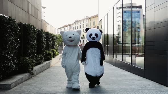 Panda and bear mascot