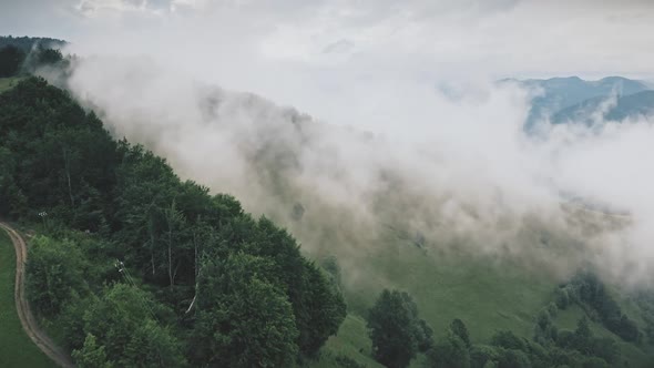 Mountains Forest at Fog Aerial