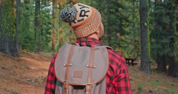 Slow Motion: Man Hiking in Green Forest on Sunny Autumn Day, Adventure Trip