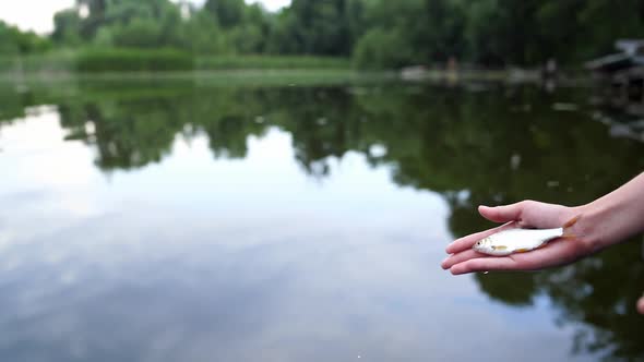 Fish on man's palm over the river background with green trees reflection on water. 