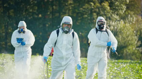 A Group of Farmers in Protective Suits and Respirators Spray the Plants with Chemicals