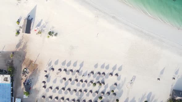 Vertical Video of the Beach on Zanzibar Island Tanzania Aerial View