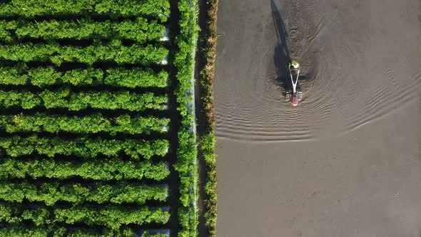 Aerial Farmer Rice Plow Machine