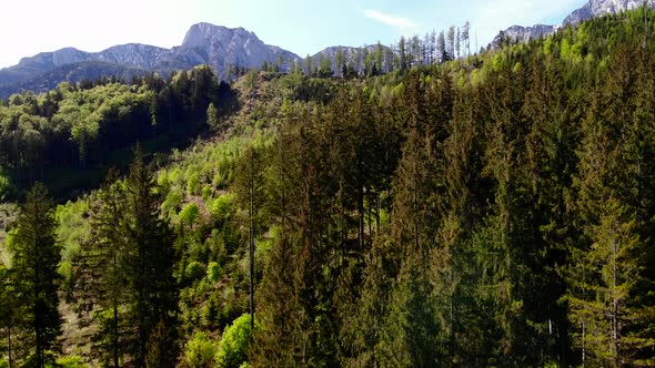 Beautiful view from the Signalkogel to the Lake Langbathsee and Mountains drone video