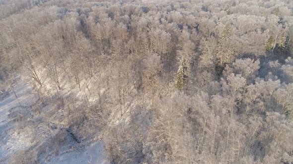 Winter Landscape Countryside