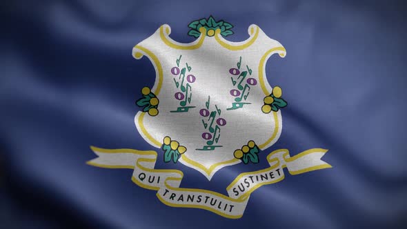 Connecticut State Flag Front HD