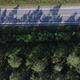 Flying Over the Treetops on Drone - VideoHive Item for Sale