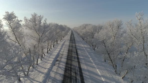 Car On Winter Road