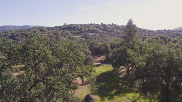 Aerial Drone Shot Descending Over a Meadow towards an Empty Mountain Road (Ahwahnee, California)