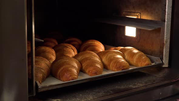 Freshly Baked Croissants on a Baking Sheet Are Pulled Out of an Oven - Closeup