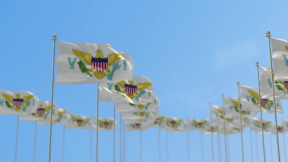 Virgin Islands US row Row Of Flags Animation