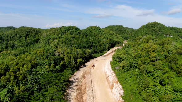 Clearing forestry landscape to build new road in Indonesia, aerial drone view